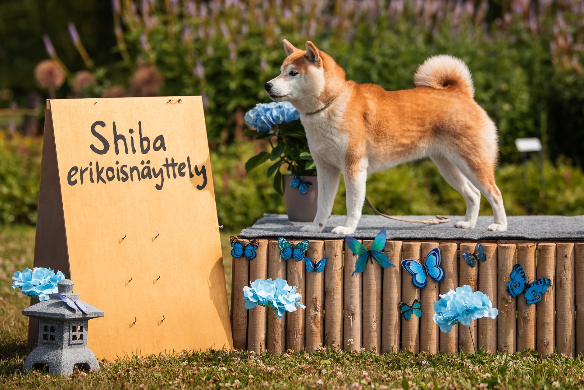 3.sija Mirai No Tatsuhime